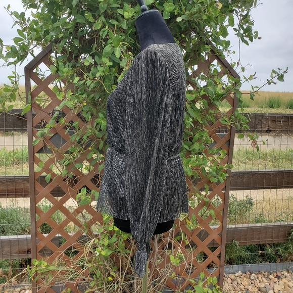 NWT Worthington Women's V-Neck Black and Silver Striped Peplum Blouse Size Small - Picture 14 of 17